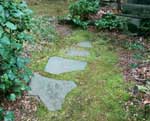 Moss Control